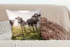 MuchoWow® Zierkissen Sofakissen Wohnzimmer Dekokissen 60x60 Produktbild-Vorschau 4