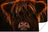 MuchoWow® Poster Schottischer Highlander - Kuh - Schwarz - Produktbild-Vorschau 1