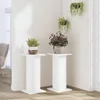 vidaXL Stojan na rastliny 2 ks Biely 30x30x60 cm Materiál Náhľad obrázku produktu 3