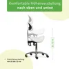 HABYS Ergonomischer Drehhocker Diana mit Rückenlehne | Produktbild-Vorschau 6