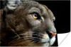 MuchoWow® Poster Cougar - Augen - Schwarz 30x20 cm - Produktbild-Vorschau 1