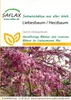 Artikelbild 1 von 'Liebesbaum / Herzbaum' aus der Kategorie Exotische Samen Náhľad obrázku produktu