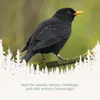 Orni Meisenknödel 95g, o. Netz o. Folie 25 Stück im Eimer Produktbild-Vorschau 3