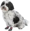 Trixie Hundesocken - Grau - XXS-XS Produktbild-Vorschau 7