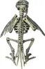 Verrottetes Raben Skelett als Halloween Deko 20 cm Produktbild-Vorschau 4