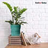 A green plant in a turquoise pot sits on a wooden crate next to notebooks and an ampersand decoration against a white brick wall. Voir les images du produit