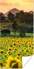 MuchoWow® Poster Sonnenblume - Natur - Berg 60x120 cm - Produktbild-Vorschau 1