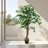 3.08 Dekorativní rostlina 115cm - Model: Benjamini (široká) Náhled obrázku produktu 5