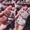 Rot-weiß gemaserte Kieselsteine auf einer Handfläche im Vergleich von nass und trocken Produktbild-Vorschau