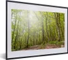 MuchoWow® MuchoWow® Gerahmtes Poster Hohe Bäume wachsen an Produktbild-Vorschau 1