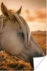 MuchoWow® Poster Pferd - Tiere - Porträt 120x180 cm - Produktbild-Vorschau 1