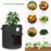 Pflanzsack 5X 60L aus Vliesstoff, Pflanzen Tasche mit 1 Produktbild-Vorschau 4