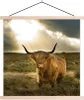 MuchoWow® Textilposter Schottisches Hochlandrind - Sonne - Produktbild-Vorschau 1