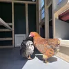 Großer Hühnerstall EZ Chicken Home Rot, 2,85 m² - Produktbild-Vorschau 7