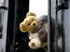 Calvendo Ein Motiv aus dem Kalender Teddy unterwegs 1000 Produktbild-Vorschau 2