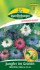 Quedlinburger Jungfer im Grünen Mischung - Blumensamen Produktbild-Vorschau 3