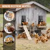 A chicken coop with automatic doors, surrounded by chickens and images of predators. Produktbild-Vorschau