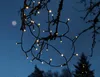 A string of warm white LED lights is draped over tree branches against a dark blue twilight sky. A faint, out-of-focus moon or light source is visible in the upper left corner. A dark silhouette of a pine tree is visible in the background. Podgląd zdjęcia produktu