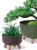 Two potted plants on a white background. Náhľad obrázku produktu