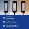 MAUL lampada da tavolo MAULpearly LED 3.000 - 6.500 K Anteprima dell’immagine prodotto 19