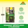 Neudorff NeudoHum Grünpflanzen- & PalmenErde 40 Liter Produktbild-Vorschau 3