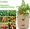 10 sacs de plantes, sac de plantation de pommes de terre 7 Voir les images du produit 9