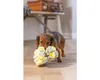 Beeztees Welpe Izzy Schnüffelball - Hundespielzeug - Produktbild-Vorschau 6