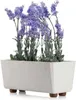 HowHomely | Pflanzkübel Salvia Texelle, Beige - 28,5 x 17 Produktbild-Vorschau 1