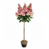 Rispenhortensie, rote Blüten, Hydrangea paniculata‘Wim’s Produktbild-Vorschau 1