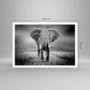 Poster - Poster ohne Rahmen - Elefant Wildnis Natur - Produktbild-Vorschau 4