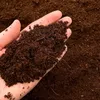 A hand holding a sample of soil. Produktbild-Vorschau