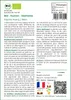 SAFLAX  -- Haricot – Edamame - 8 graines - Glycine Voir les images du produit 5