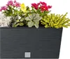 Prosperplast Furu Collection Blumentopf, Silber, Produktbild-Vorschau 18