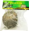 Lucky Reptile Rose de Jericho Voir les images du produit 1