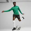 Puma Teamgoal Trainingssweat Herren - Grün Produktbild-Vorschau 5