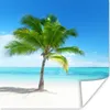 MuchoWow® Poster Palme - Strand - Meer - Sommer 50x50 cm - Produktbild-Vorschau 1