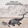 Simulácia modelu mŕtvoly dinosaura, realistická, živá Náhľad obrázku produktu 5