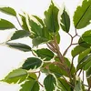Kunstpflanze Ficus im Topf grün/mehrfarbig 40cm Produktbild-Vorschau 4