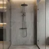 Ensemble De Douche Rea Lungo + Termostat Titane Voir les images du produit 8
