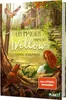 A book cover illustration depicting a girl named Willow in a forest setting with animals. Produktbild-Vorschau