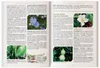 El Libro de Los Remedios Herbales Olvidados: El Poder Vista previa de la imagen del producto 4