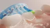 A close-up, animated view of a toothbrush head with bristles cleaning teeth, showing toothpaste and water bubbles. Anteprima dell’immagine prodotto