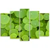 5-teiliges leinwandbild grüne blätter 150x100 cm Feeby grün Produktbild-Vorschau 2