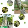 A collage of four images demonstrating the process of grafting a plant using tape. Produktbild-Vorschau