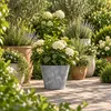 Prosperplast Blumentopf - Kunststoff - Bronze - D30 x 28 cm Produktbild-Vorschau 5