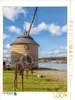 Calvendo Der Alte Kran von Marktbreit 1000 Teile Puzzle Produktbild-Vorschau 3