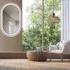 HOKO Badspiegel 60x100cm Antibeschlag Wandspiegel Oval mit Produktbild-Vorschau 4