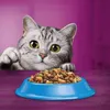 Whiskas Adult 1+ Trockenfutter mit Thunfisch im Karton, Produktbild-Vorschau 4