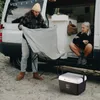 Brisby Kühlbox 8L – 2 Kühlelemente – Deckel integriert – Produktbild-Vorschau 5