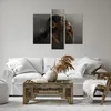 Bild auf Leinwand - Leinwandbild - 3 Teile - Schimpanse Produktbild-Vorschau 6